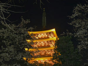 P3315889shuusei.JPG