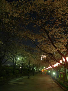 P3315931shuusei.JPG