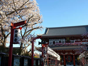 P4015971shuusei.JPG