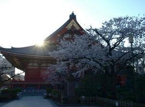 P4015995shuusei.JPG