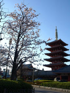 P4016000shuusei.JPG