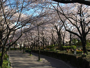 P4016066shuusei.JPG