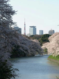P3295414shuusei.JPG