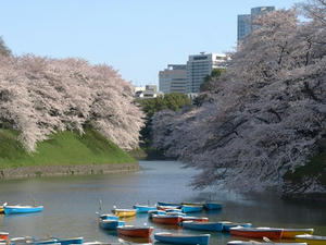 P3295432shuusei.JPG