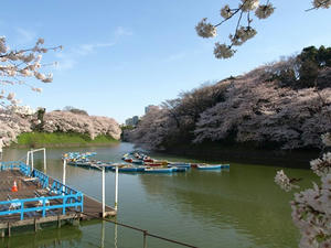 P3295437shuusei.JPG