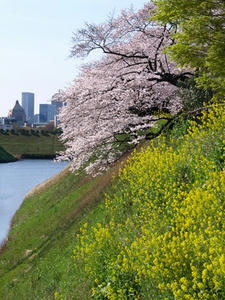 P3295522shuusei.JPG