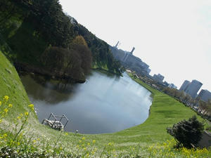 P3295549shuusei.JPG