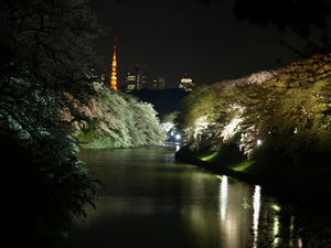 P4016239shuusei.JPG