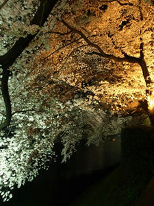 P4016125shuusei.JPG