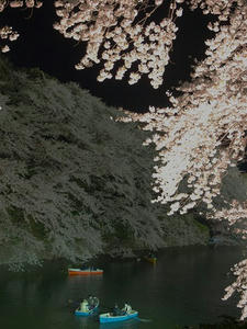 P4016158shuusei.JPG