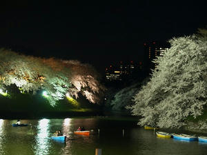 P4016206shuusei.JPG