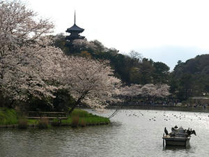 P3295737shuusei.JPG