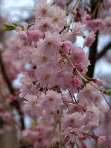 P3295813shuusei.JPG