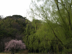 P3295825shuusei.JPG