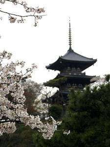 P3295807shuusei.JPG