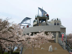 P4026277shuusei.JPG