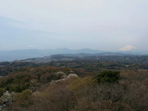 P4026249shuusei.JPG