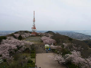 P4026263shuusei.JPG