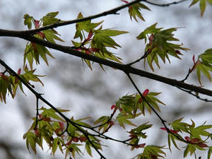 P4026317shuusei.JPG