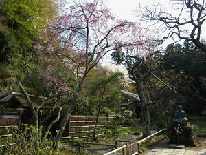 P4026557shuusei.JPG