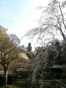 P4026564shuusei.JPG
