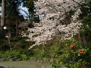 P4026595shuusei.JPG