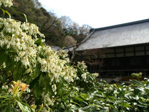 P4026471shuusei.JPG