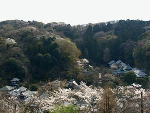 P4026523shuusei.JPG