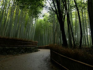 P4086888shuusei.JPG