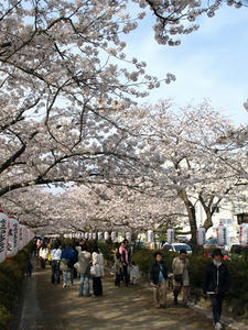 P4026607shuusei.JPG