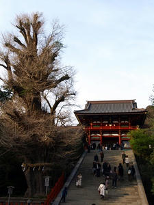 P4026803shuusei.JPG