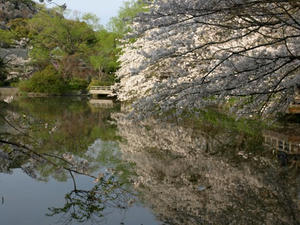 P4026758shuusei.JPG