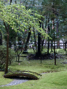 P4086868shuusei.JPG
