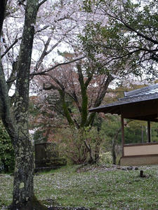P4086906shuusei.JPG