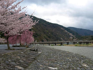 P4086978shuusei.JPG
