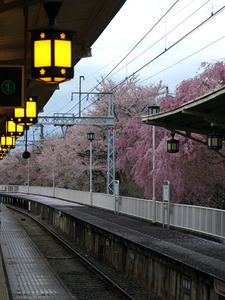 P4086998shuusei.JPG
