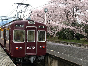 P4087001shuusei.JPG