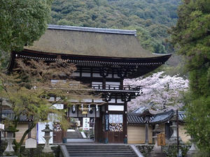 P4087016shuusei.JPG