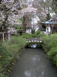 P4087046shuusei.JPG