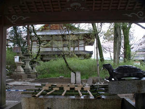 P4087027shuusei.JPG