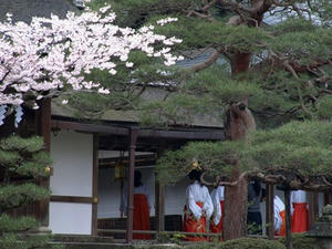 P4087044shuusei.JPG