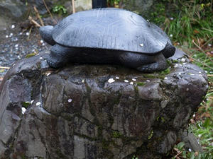 P4087041shuusei.JPG