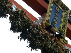 P4087053shuusei.JPG