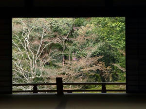 P4087103shuusei.JPG