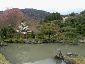 P4087108shuusei.JPG