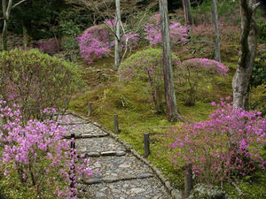 P4087133shuusei.JPG
