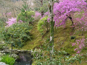 P4087136shuusei.JPG
