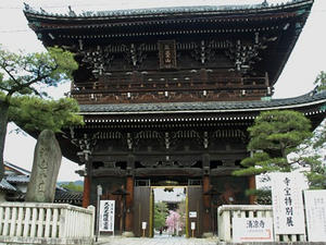 P4087146shuusei.JPG