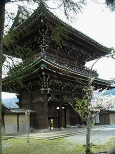 P4087148shuusei.JPG