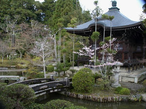 P4087156shuusei.JPG